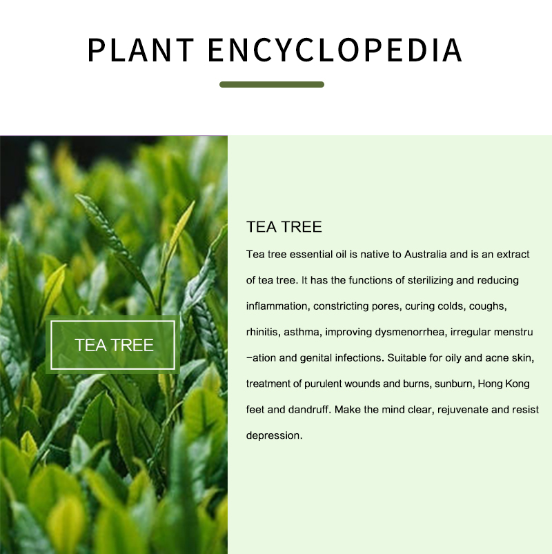 100% Pure Tea Tree Etherische  - Tea Tree Spot Treatment recensie en prijs